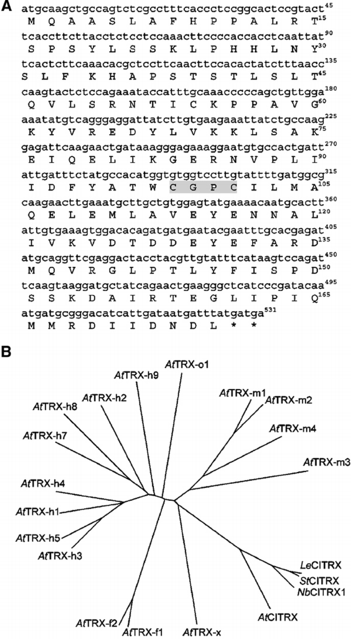 Retraction Note: CITRX thioredoxin interacts with the tomato Cf‐9  resistance protein and negatively regulates defence | The EMBO Journal