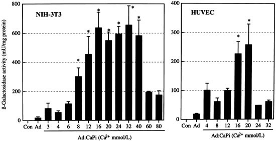 Calcium Phosphate Precipitates Augment Adenovirus Mediated Gene Transfer To Blood Vessels In Vitro And In Vivo Gene Therapy