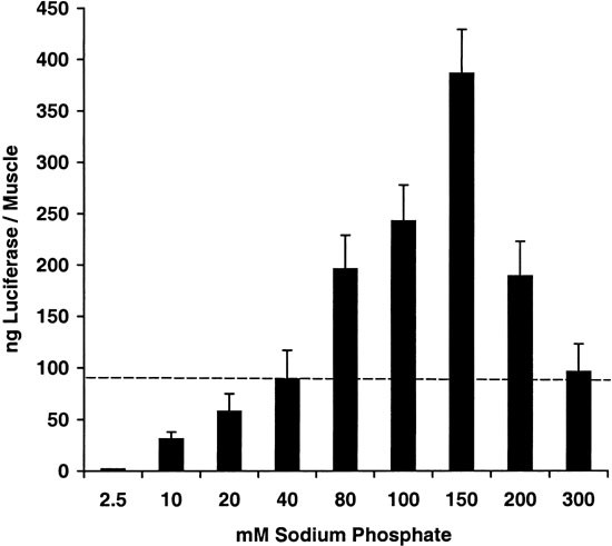 Sodium Phosphate Enhances Plasmid Dna Expression In Vivo Gene Therapy