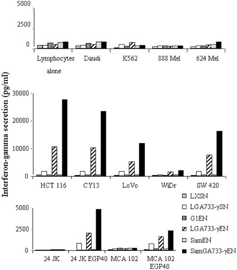 Increased functional expression of transgene in primary human 