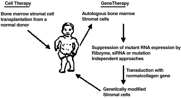 Gene Therapy Approaches For Osteogenesis Imperfecta | Gene Therapy