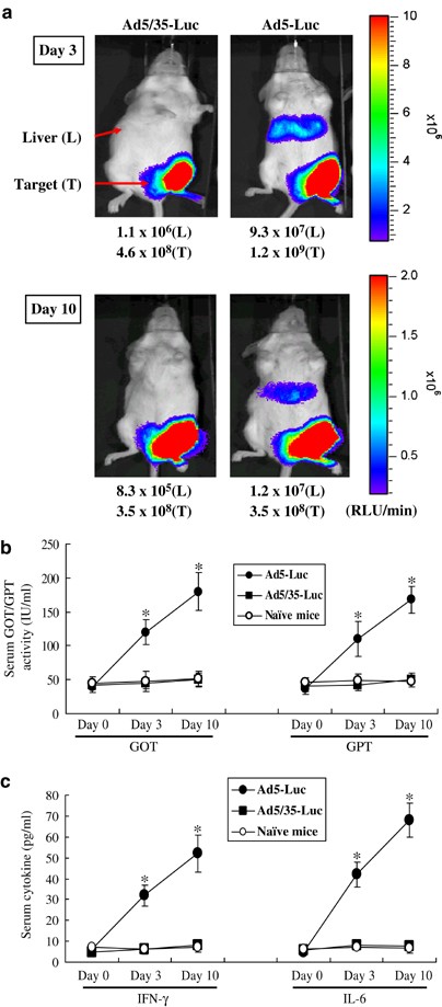 Prime Boost Vaccination With Plasmid Dna And A Chimeric Adenovirus Type 5 Vector With Type 35 Fiber Induces Protective Immunity Against Hiv Gene Therapy