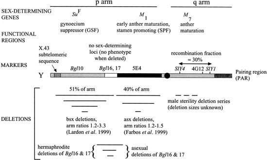 Plant Sex Determination And Sex Chromosomes Heredity Plant Sex Determination And Sex Chromosomes Heredity