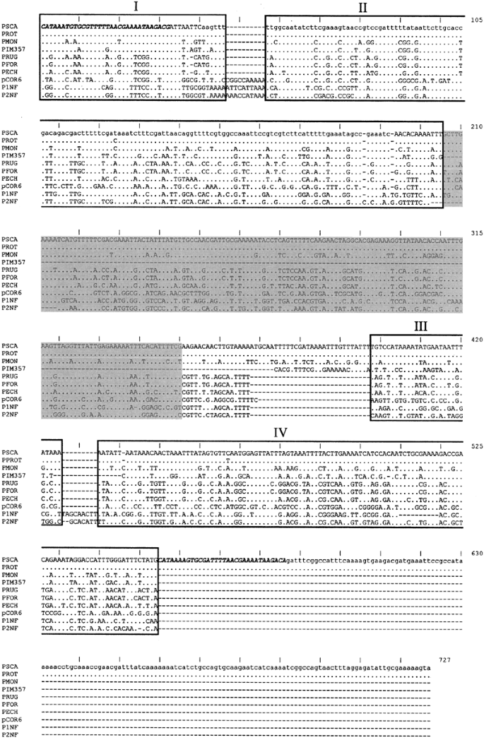 Complex Structural Features Of Satellite Dna Sequences In The Genus Pimelia Coleoptera Tenebrionidae Random Differential Amplification From A Common Satellite Dna Library Heredity