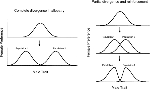 Sexual imprinting, learning and speciation | Heredity