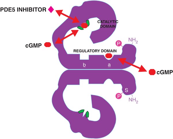 figure3