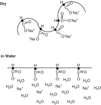 Disposable Diaper To Collect Urine Samples From Young Children For Pyrethroid Pesticide Studies Journal Of Exposure Science Environmental Epidemiology
