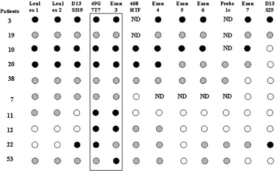 Deletion analysis of chromosome 13q14.3 and characterisation of an  alternative splice form of LEU1 in B cell chronic lymphocytic leukemia |  Leukemia