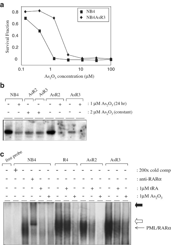 Glutathione Depletion Overcomes Resistance To Arsenic Trioxide In Arsenic Resistant Cell Lines Leukemia Glutathione Depletion Overcomes Resistance To Arsenic Trioxide In Arsenic Resistant Cell Lines Leukemia