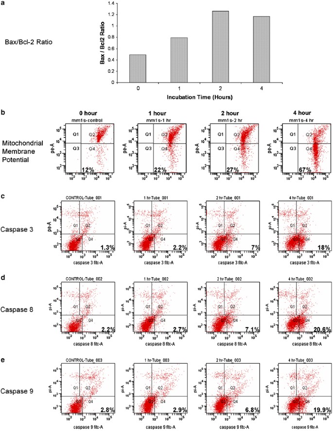 Abt 737 An Inhibitor Of Bcl 2 Family Proteins Is A Potent Inducer Of Apoptosis In Multiple Myeloma Cells Leukemia