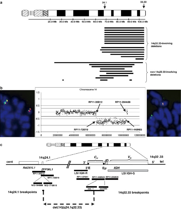 Interstitial Del 14 Q Involving Igh A Novel Recurrent Aberration In B Nhl Leukemia