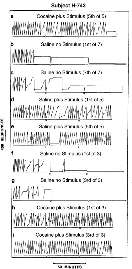 Human Cocaine Seeking Behavior And Its Control By Drug Associated Stimuli In The Laboratory Neuropsychopharmacology
