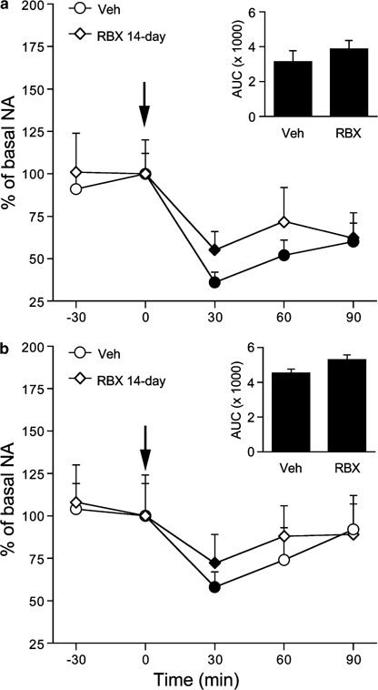 Effects of local perfusion of alpha-methyl-p-tyrosine (AMPT; 100 µM) on