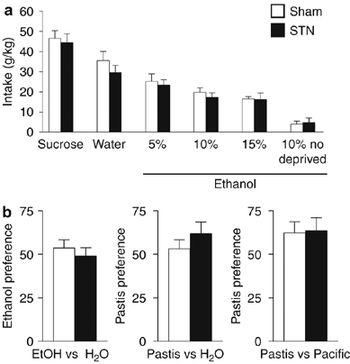 Subthalamic nucleus connectivity in binge drinkers and