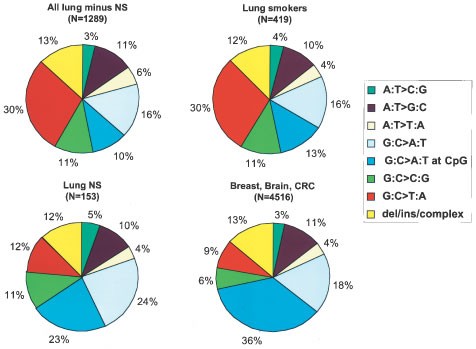 Tobacco smoke carcinogens, DNA damage and p53 mutations in smoking-associated  cancers