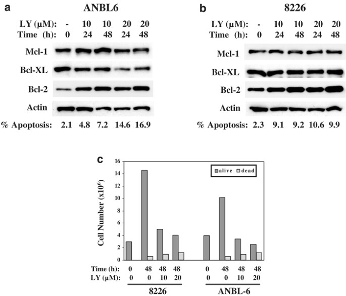 Il 6 Independent Expression Of Mcl 1 In Human Multiple Myeloma Oncogene Il 6 Independent Expression Of Mcl 1 In Human Multiple Myeloma Oncogene