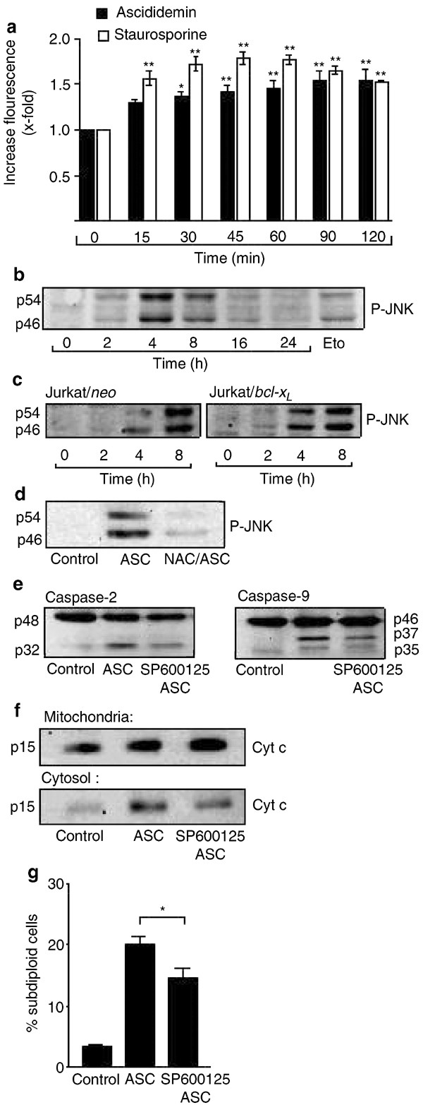 Apoptosis Signaling Triggered By The Marine Alkaloid Ascididemin Is Routed Via Caspase 2 And Jnk To Mitochondria Oncogene Apoptosis Signaling Triggered By The Marine Alkaloid Ascididemin Is Routed Via Caspase 2 And Jnk To Mitochondria Oncogene