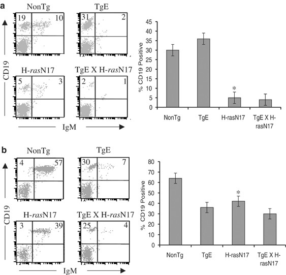 Epstein Barr Virus Ebv Lmp2a Mediates B Lymphocyte Survival Through Constitutive Activation Of The Ras Pi3k Akt Pathway Oncogene