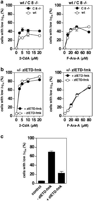 Adenine deoxynucleotides fludarabine and cladribine induce apoptosis in a  CD95/Fas receptor, FADD and caspase-8-independent manner by activation of  the mitochondrial cell death pathway | Oncogene