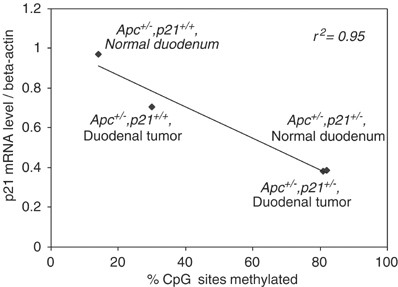 Methylation In The P21 Waf1 Cip1 Promoter Of Apc P21 Mice And Lack Of Response To Sulindac Oncogene