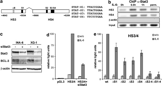 l3 Is Induced By Il 6 Via Stat3 Binding To Intronic Enhancer Hs4 And Represses Its Own Transcription Oncogene