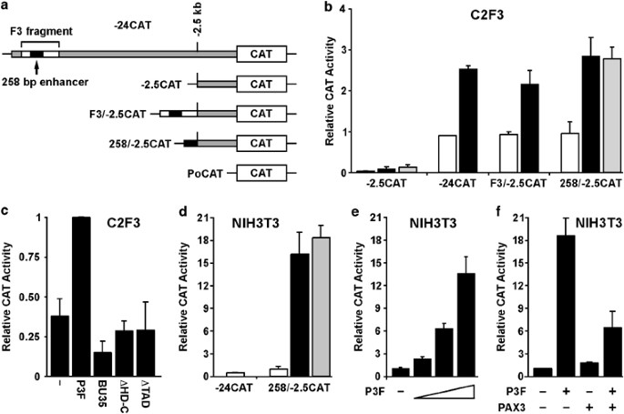 Pax Fkhr Function As Pangenes By Simultaneously Inducing And Inhibiting Myogenesis Oncogene