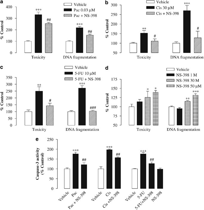 Decisive Role Of Cyclooxygenase 2 And Lipocalin Type Prostaglandin D Synthase In Chemotherapeutics Induced Apoptosis Of Human Cervical Carcinoma Cells Oncogene