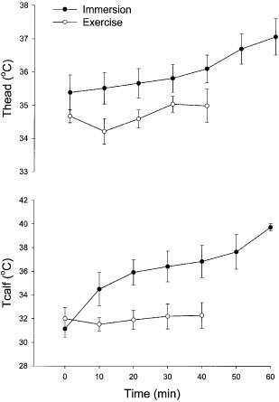 Thermoregulatory Responses To Exercise And Warm Water
