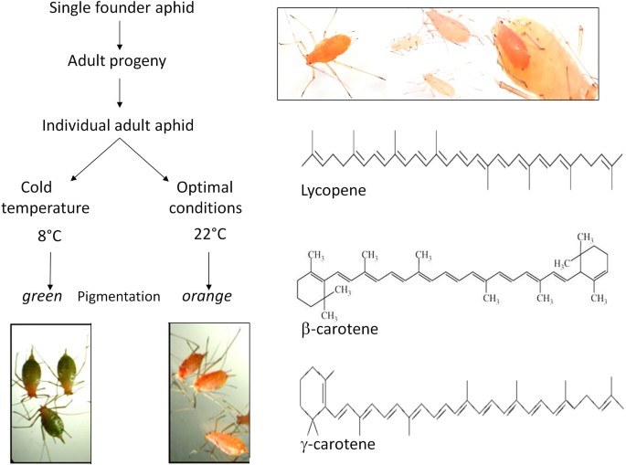 figure1