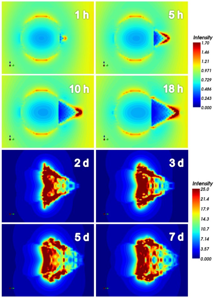 figure 6