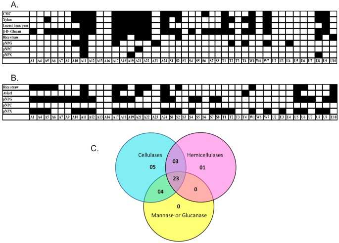 Diversity And Functional Significance Of Cellulolytic Microbes Living In Termite Pill Bug And Stem Borer Guts Scientific Reports Diversity And Functional Significance Of Cellulolytic Microbes Living In Termite Pill Bug And Stem Borer Guts Scientific Reports
