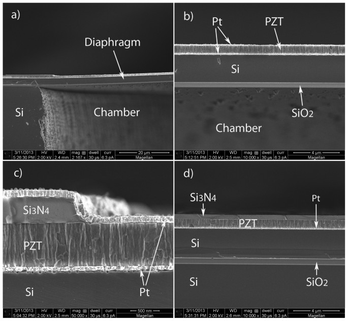 Bending Induced Electromechanical Coupling And Large Piezoelectric Response In A Micromachined Diaphragm Scientific Reports