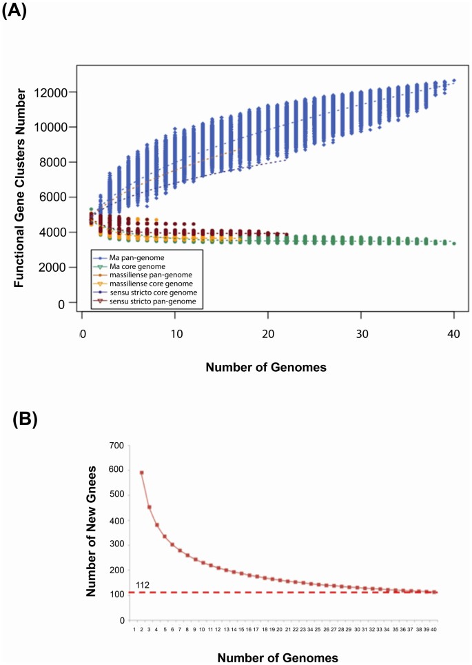 Genomic Reconnaissance Of Clinical Isolates Of Emerging Human Pathogen Mycobacterium Abscessus Reveals High Evolutionary Potential Scientific Reports Genomic Reconnaissance Of Clinical Isolates Of Emerging Human Pathogen Mycobacterium Abscessus Reveals High Evolutionary Potential Scientific Reports