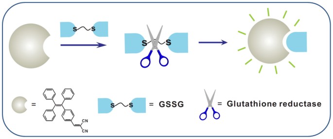 nano glutation fogyás