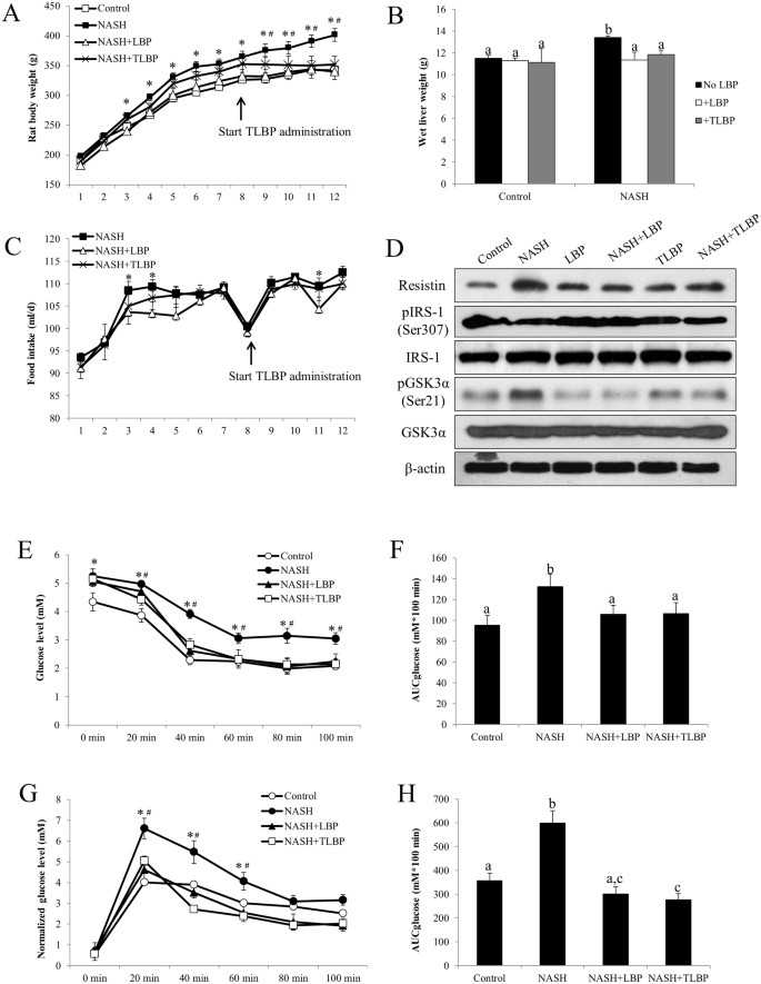 Lycium barbarum polysaccharides therapeutically improve hepatic functions  in non-alcoholic steatohepatitis rats and cellular steatosis model |  Scientific Reports