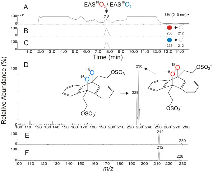 Tetramethylalloxazines as efficient singlet oxygen photosensitizers and  potential redox-sensitive agents