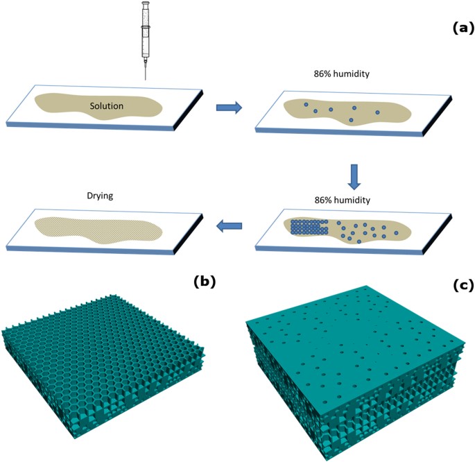 Honeycomb-like porous gel polymer electrolyte membrane for lithium ion  batteries with enhanced safety | Scientific Reports
