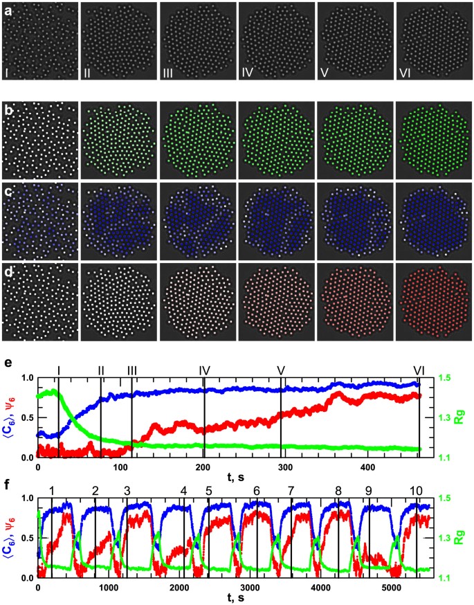 Colloidal Crystal Grain Boundary Formation And Motion Scientific Reports Colloidal Crystal Grain Boundary Formation And Motion Scientific Reports