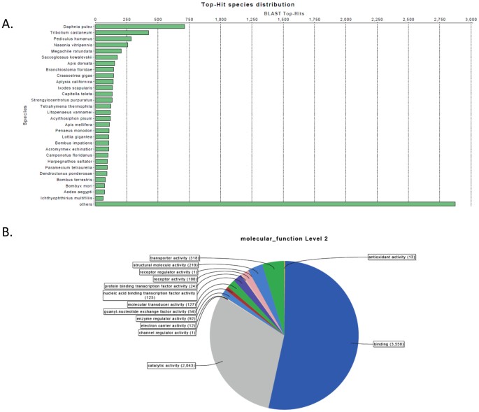 Novel transcriptome assembly and 