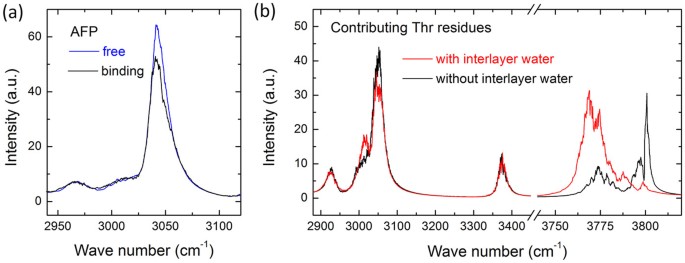 Interlayer Water Regulates the Bio-nano Interface of a β-sheet Protein  stacking on Graphene | Scientific Reports