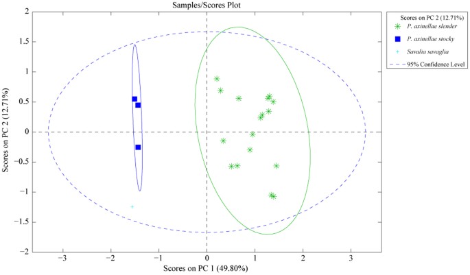 Metabolomic Profiling Reveals Deep Chemical Divergence Between Two Morphotypes Of The Zoanthid Parazoanthus Axinellae Scientific Reports