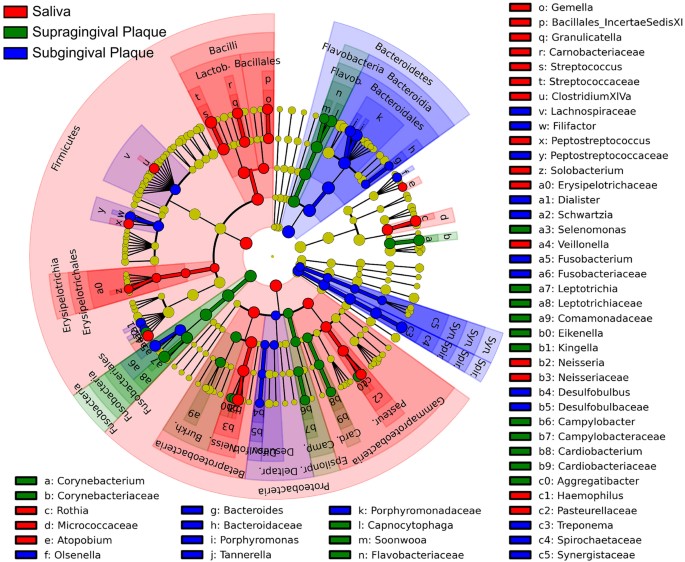 A Filifactor Alocis Centered Co Occurrence Group Associates With Periodontitis Across Different Oral Habitats Scientific Reports