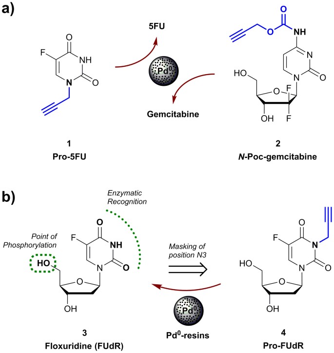 Palladium-Mediated Dealkylation of N -Propargyl-Floxuridine as a  Bioorthogonal Oxygen-Independent Prodrug Strategy | Scientific Reports