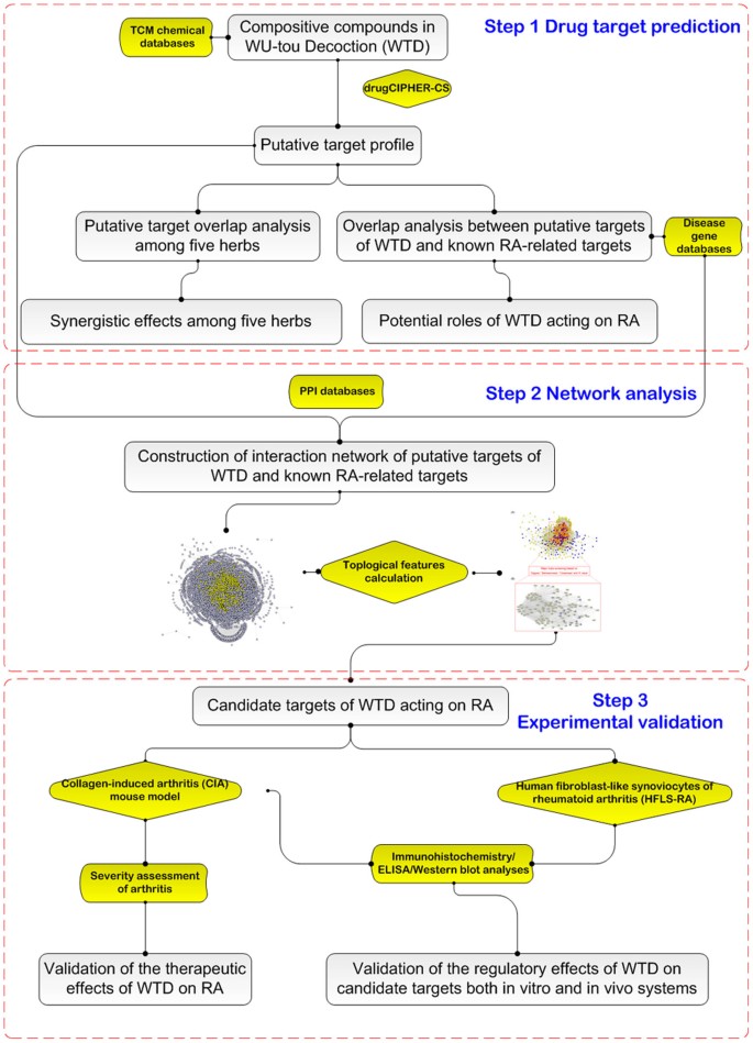 Uncovering Pharmacological Mechanisms Of Wu Tou Decoction Acting On Rheumatoid Arthritis Through Systems Approaches Drug Target Prediction Network Analysis And Experimental Validation Scientific Reports Uncovering Pharmacological Mechanisms Of Wu Tou Decoction Acting On Rheumatoid Arthritis Through Systems Approaches Drug Target Prediction Network Analysis And Experimental Validation Scientific Reports