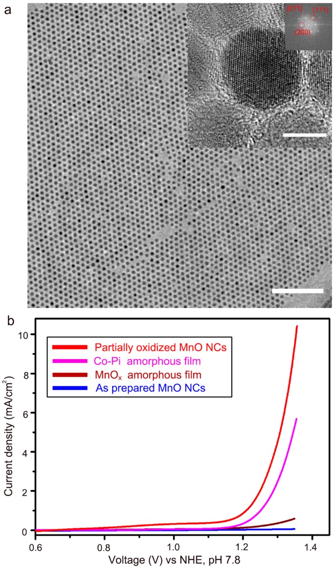 Partially Oxidized Sub 10 Nm Mno Nanocrystals With High Activity For Water Oxidation Catalysis Scientific Reports