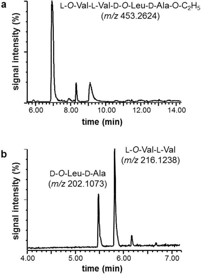 Depsipeptide Intermediates Interrogate Proposed Biosynthesis Of Cereulide The Emetic Toxin Of Bacillus Cereus Scientific Reports