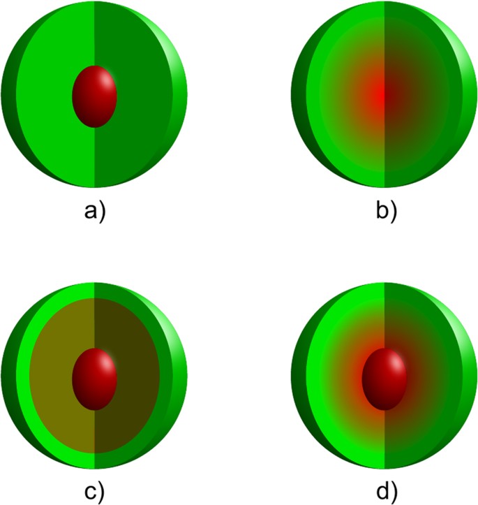 First Principles Study Of The Influence Of Different Interfaces And Core Types On The Properties Of Cdse Cds Core Shell Nanocrystals Scientific Reports