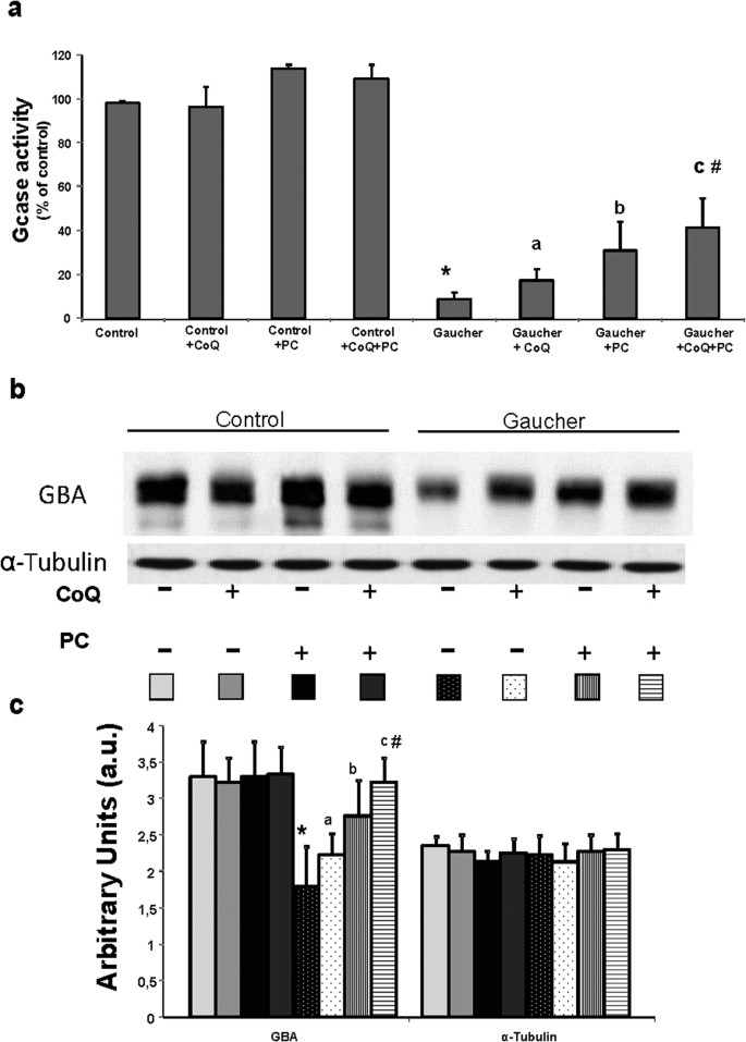 Pharmacological Chaperones and Coenzyme Q10 Treatment Improves Mutant  β-Glucocerebrosidase Activity and Mitochondrial Function in Neuronopathic  Forms of Gaucher Disease | Scientific Reports