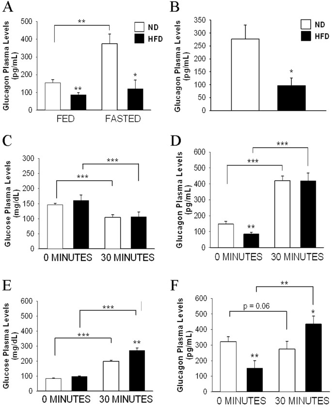 Pancreatic Alpha Cells From Female Mice Undergo Morphofunctional Changes During Compensatory Adaptations Of The Endocrine Pancreas To Diet Induced Obesity Scientific Reports