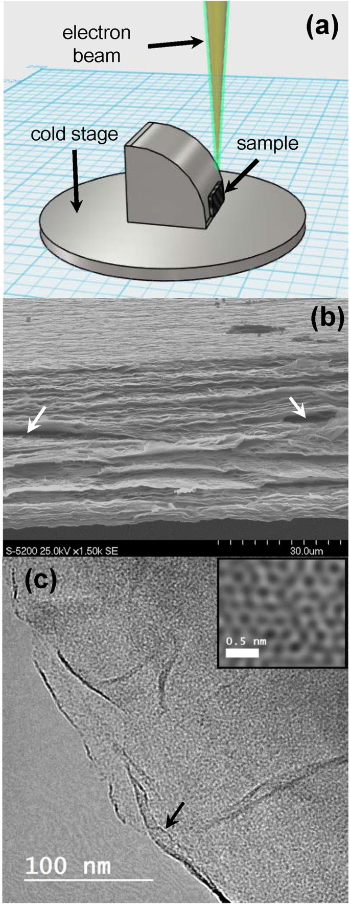 Electron microscopy and calorimetry of proteins in supercooled